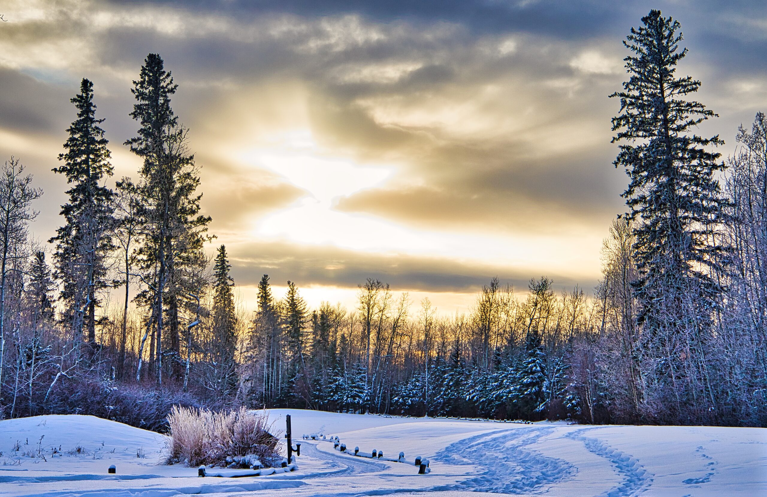 January 2023 – PixelPam